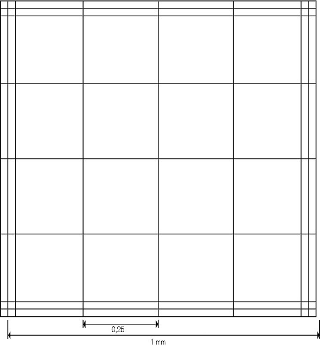 血细胞计数板, Fuchs-Rosenthal 型, BLAUBRAND®, 双线型